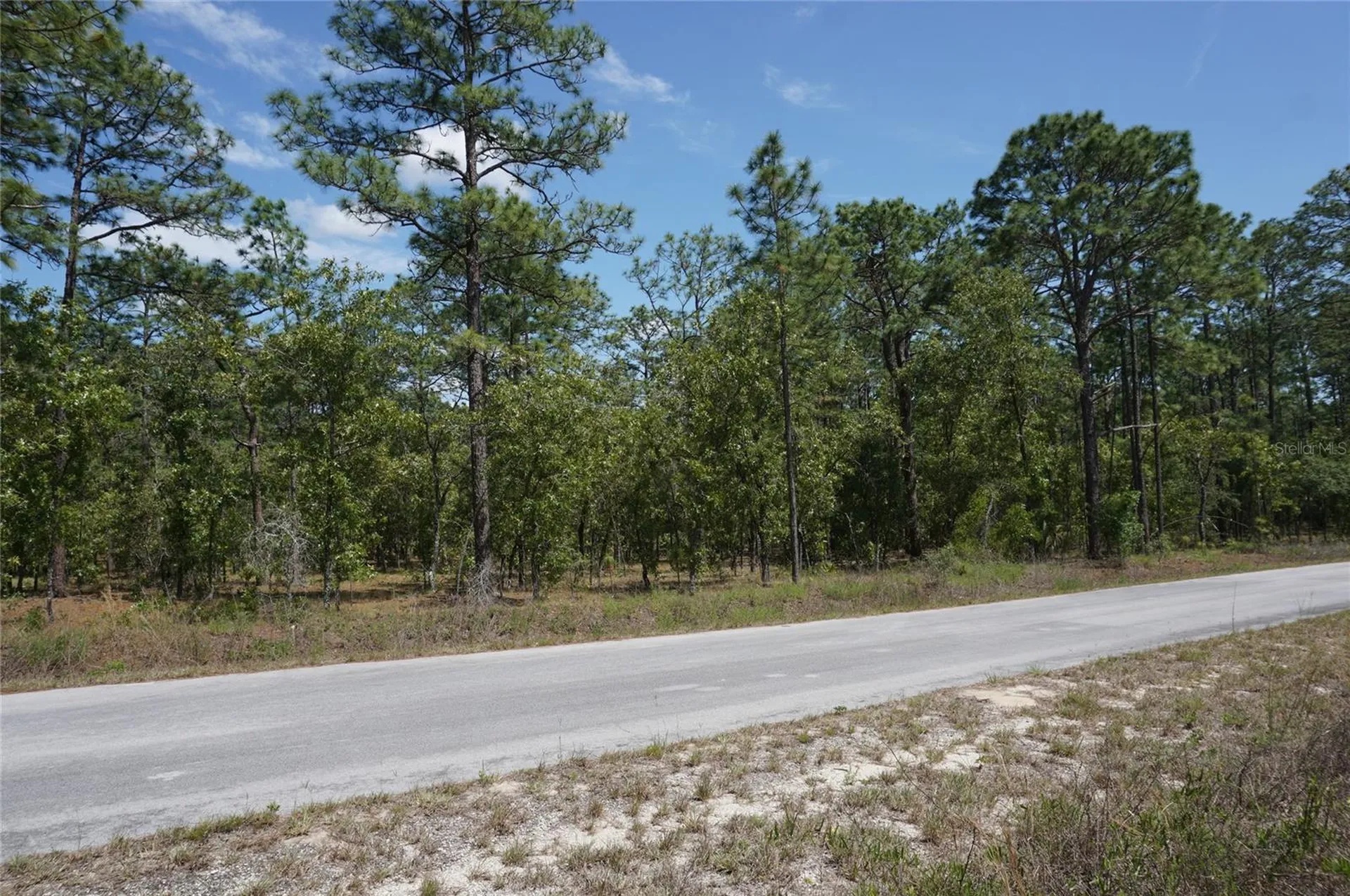 Tbd NW Tree Top Road Dunnellon FL 34431