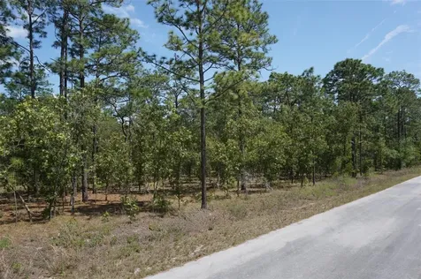 Tbd NW Tree Top Road Dunnellon FL 34431