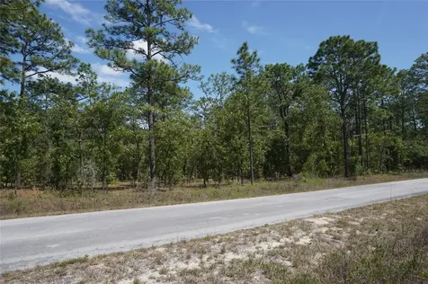 Tbd NW Tree Top Road Dunnellon FL 34431
