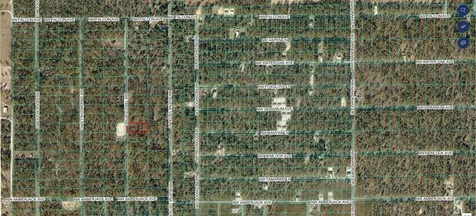 Tbd NW Tree Top Road Dunnellon FL 34431