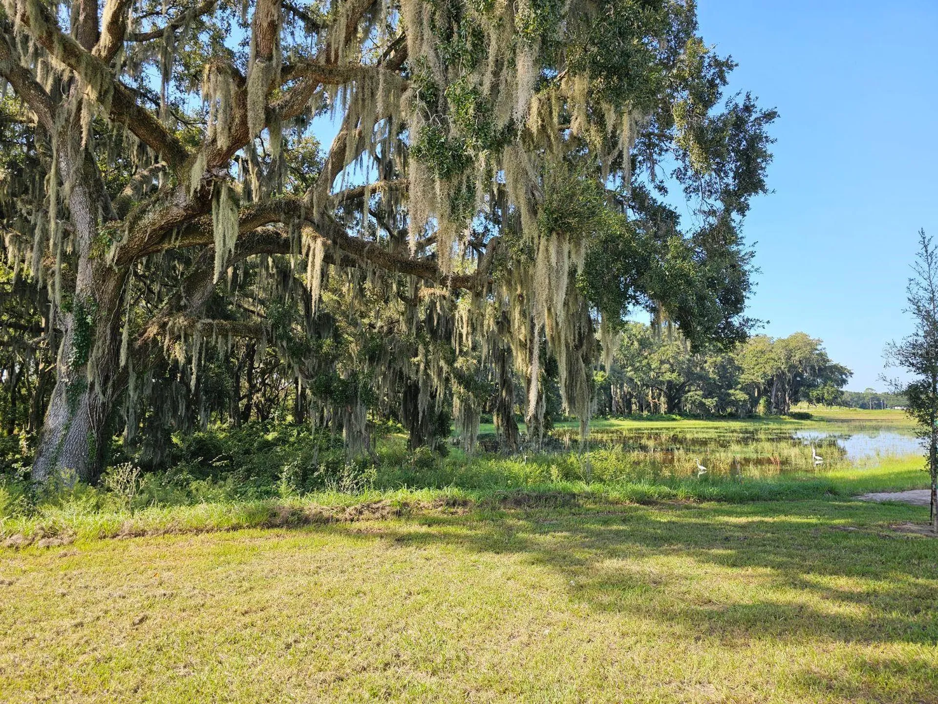 8705 Barragan Drive Wildwood FL 34785
