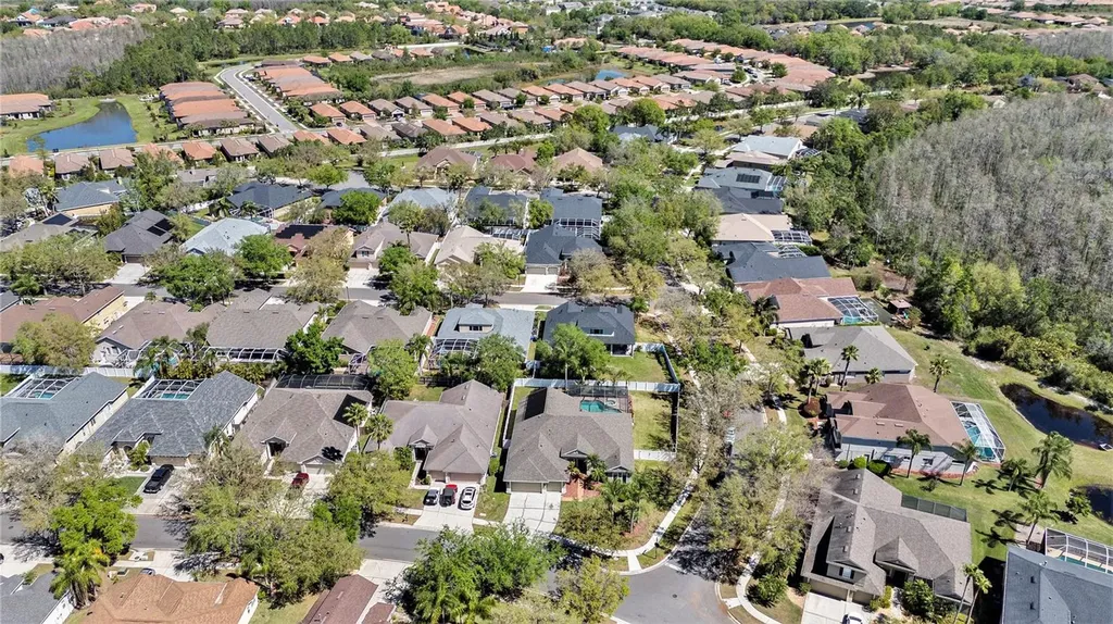 19328 Autumn Woods Avenue Tampa FL 33647