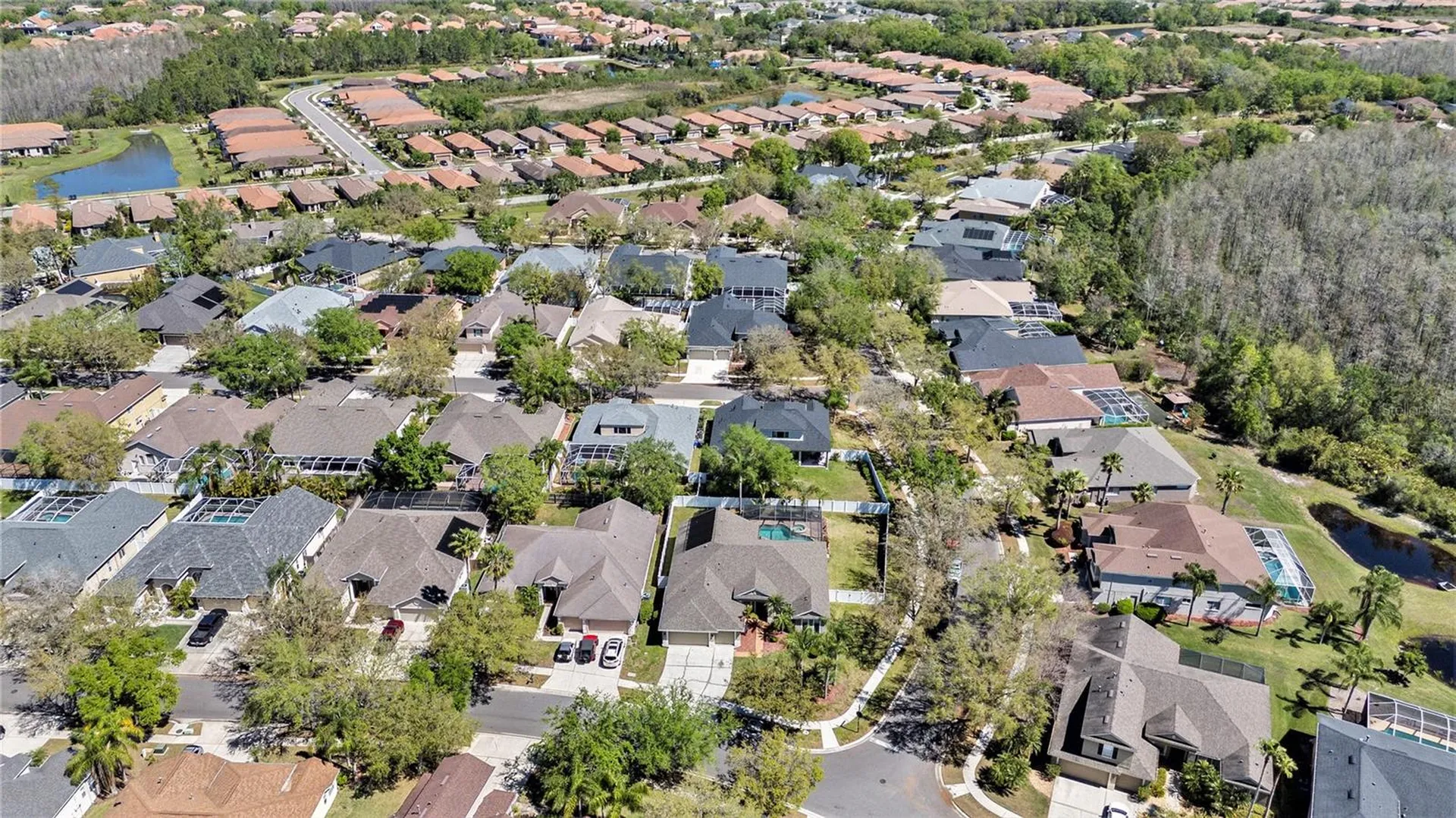19328 Autumn Woods Avenue Tampa FL 33647