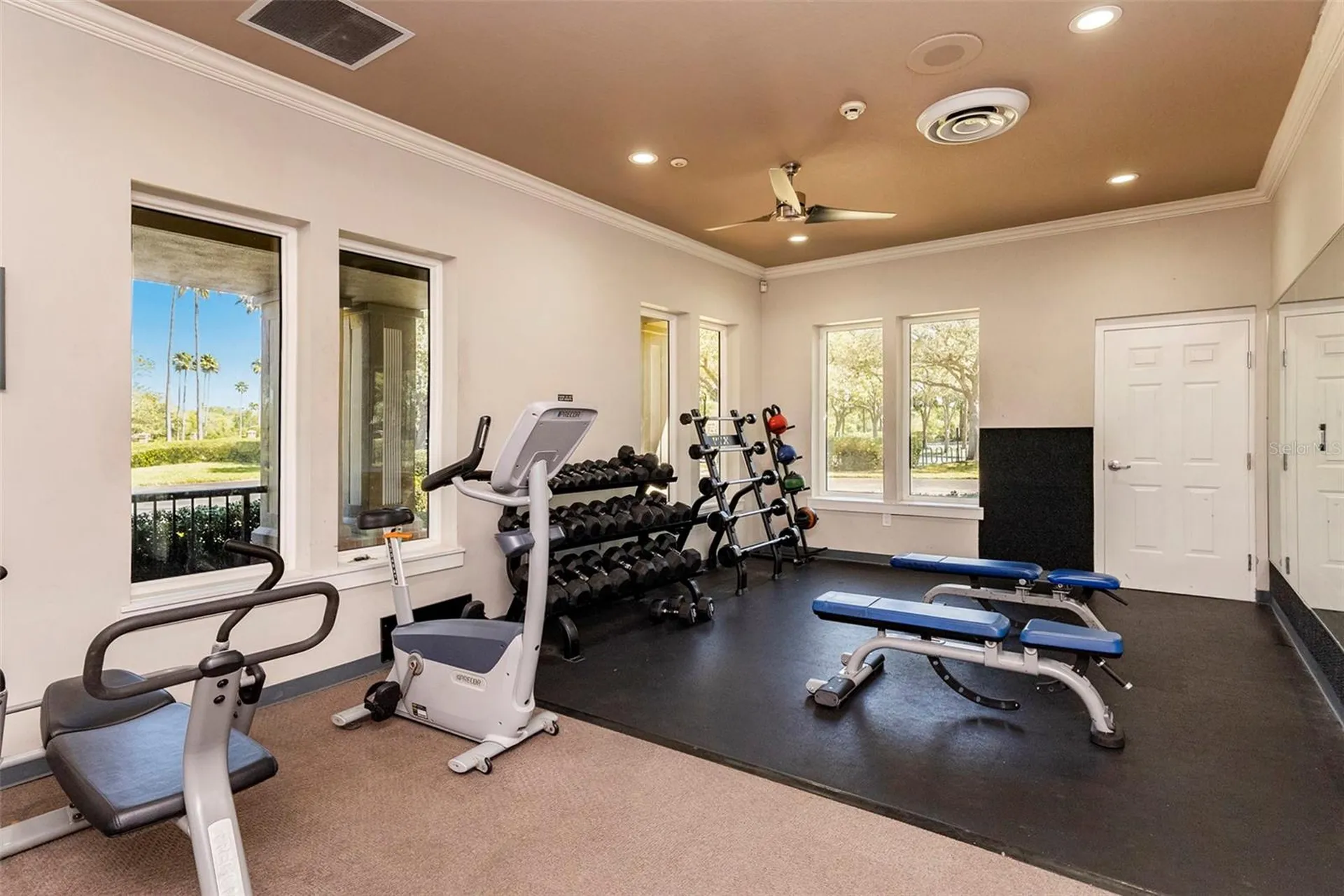 19328 Autumn Woods Avenue Tampa FL 33647