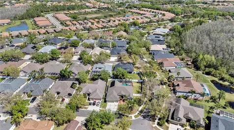 19328 Autumn Woods Avenue Tampa FL 33647