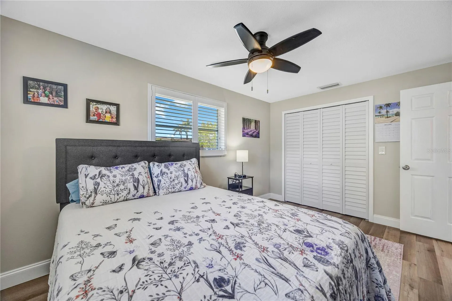 2155 Edythe Drive Dunedin FL 34698