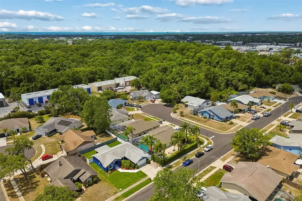 8031 Gabriel Drive Port Richey FL 34668