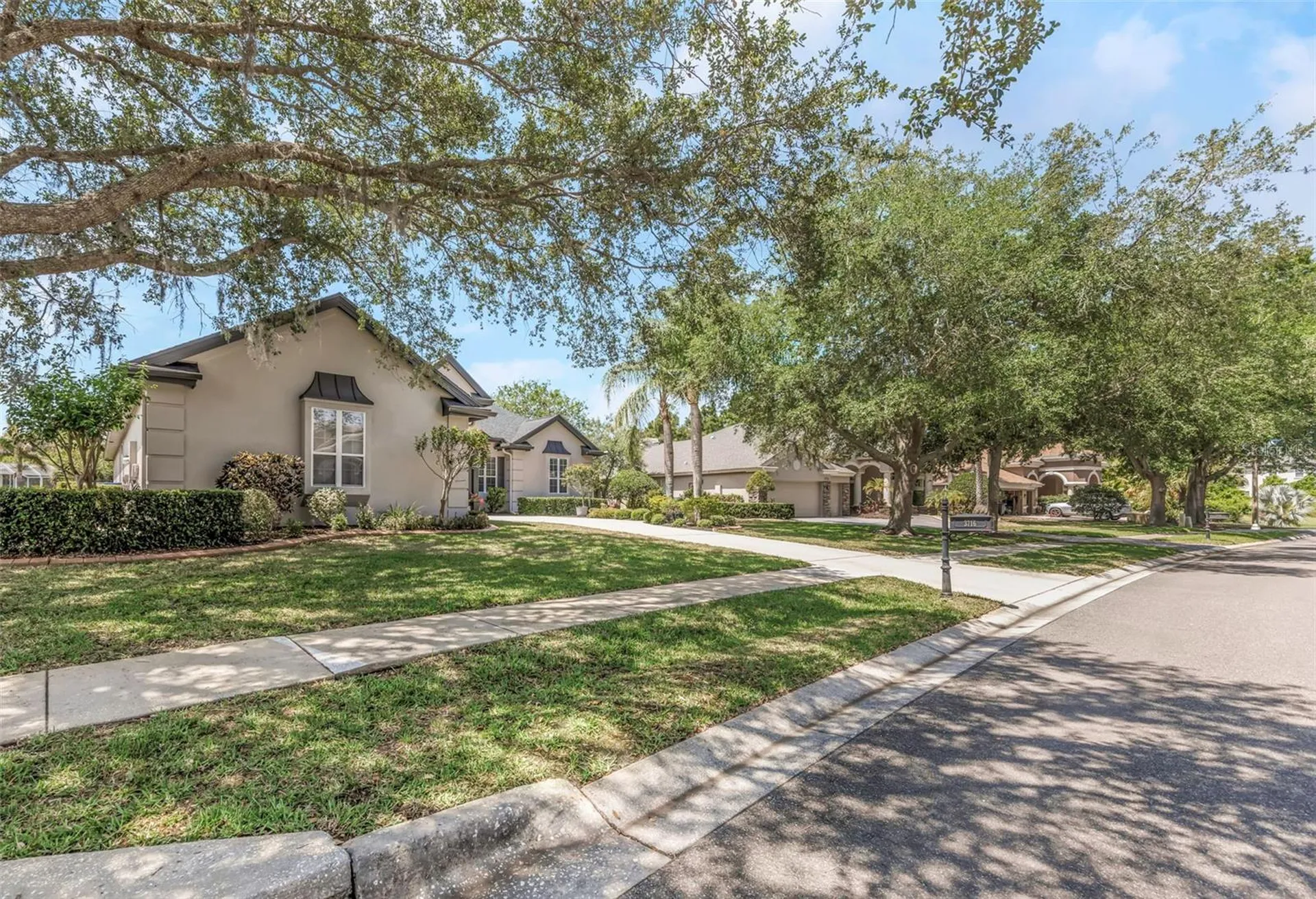3716 Janus Way Palm Harbor FL 34685