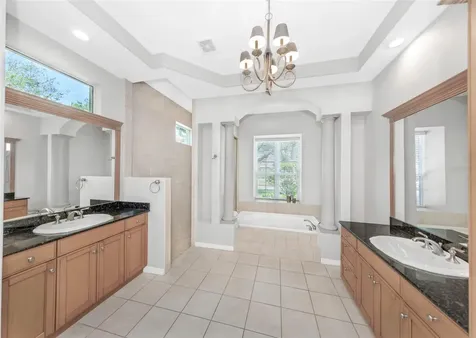 3716 Janus Way Palm Harbor FL 34685