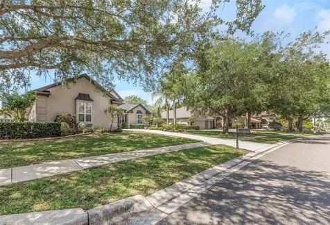 3716 Janus Way Palm Harbor FL 34685