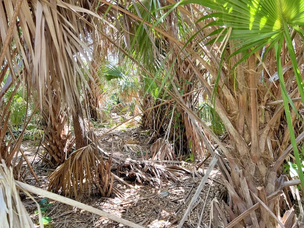 Maccaughey Drive North Port FL 34287