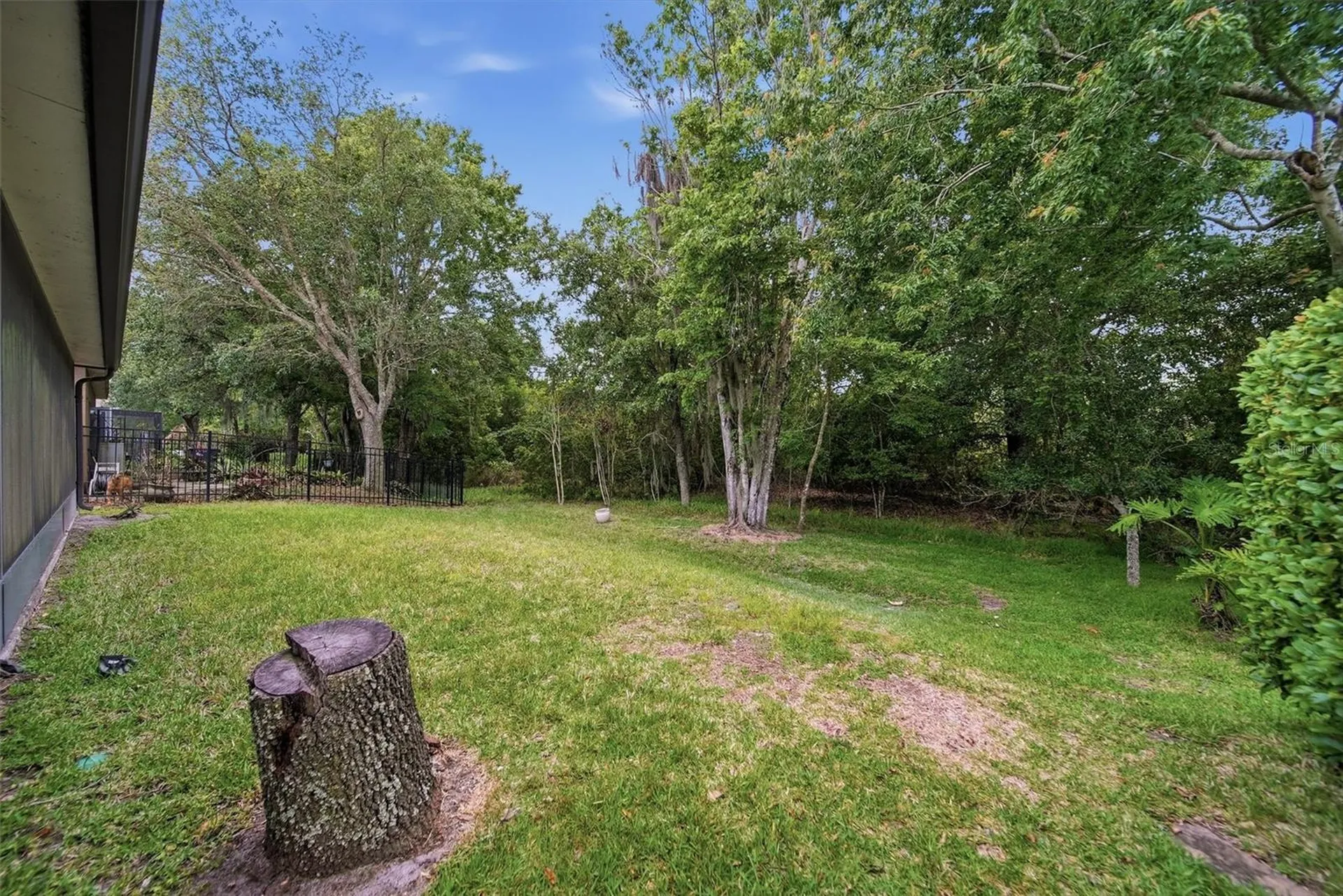 13425 Early Frost Circle Orlando FL 32828