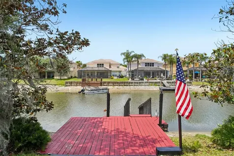 18032 Malakai Isle Drive Tampa FL 33647
