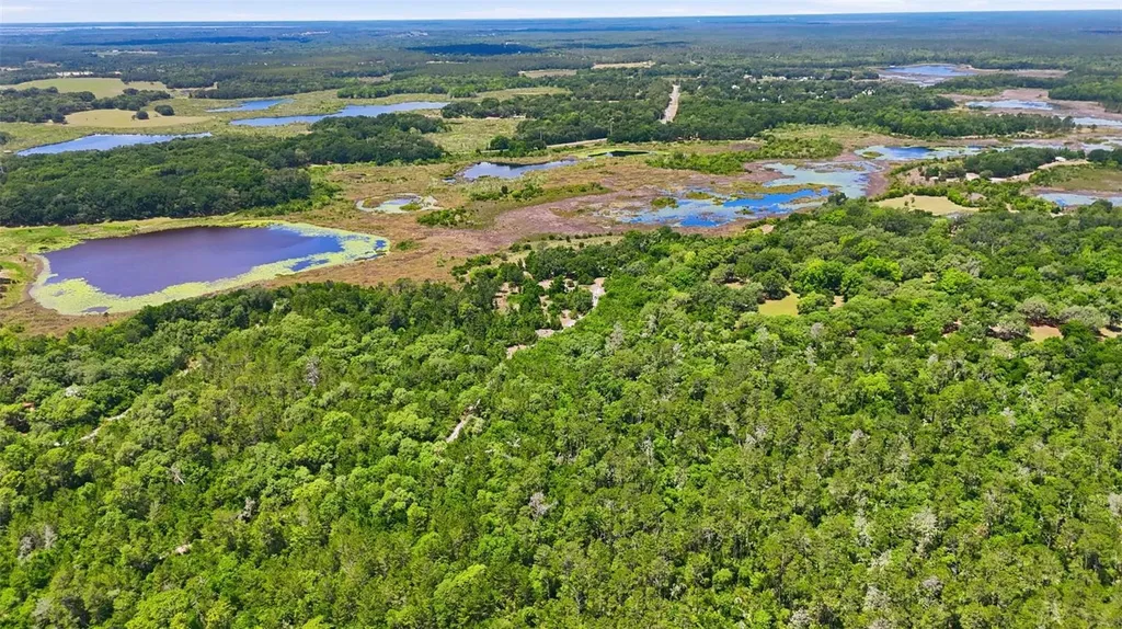 16050 SE 275th Avenue Umatilla FL 32784