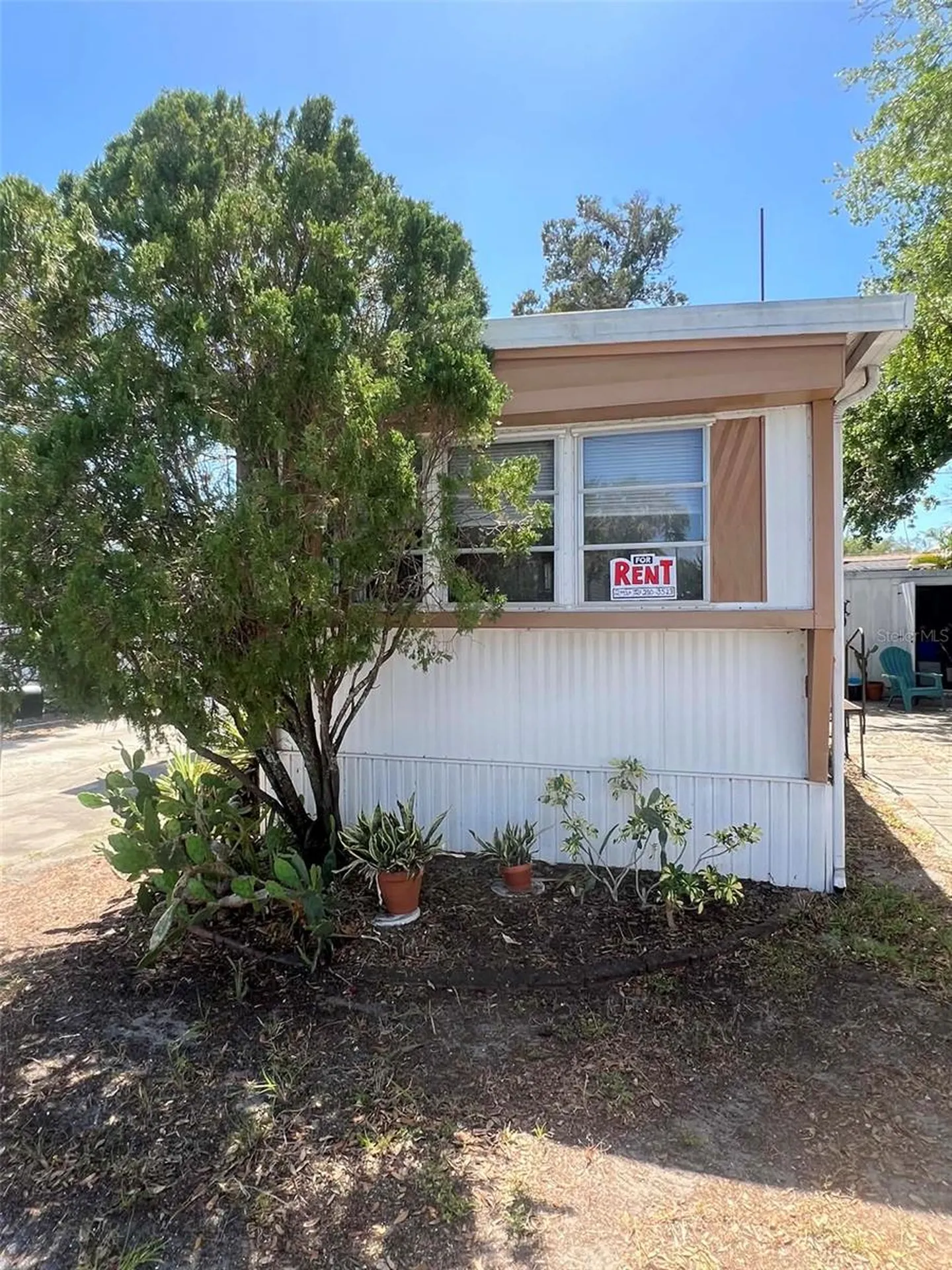 7801 34th Avenue N St Petersburg FL 33710