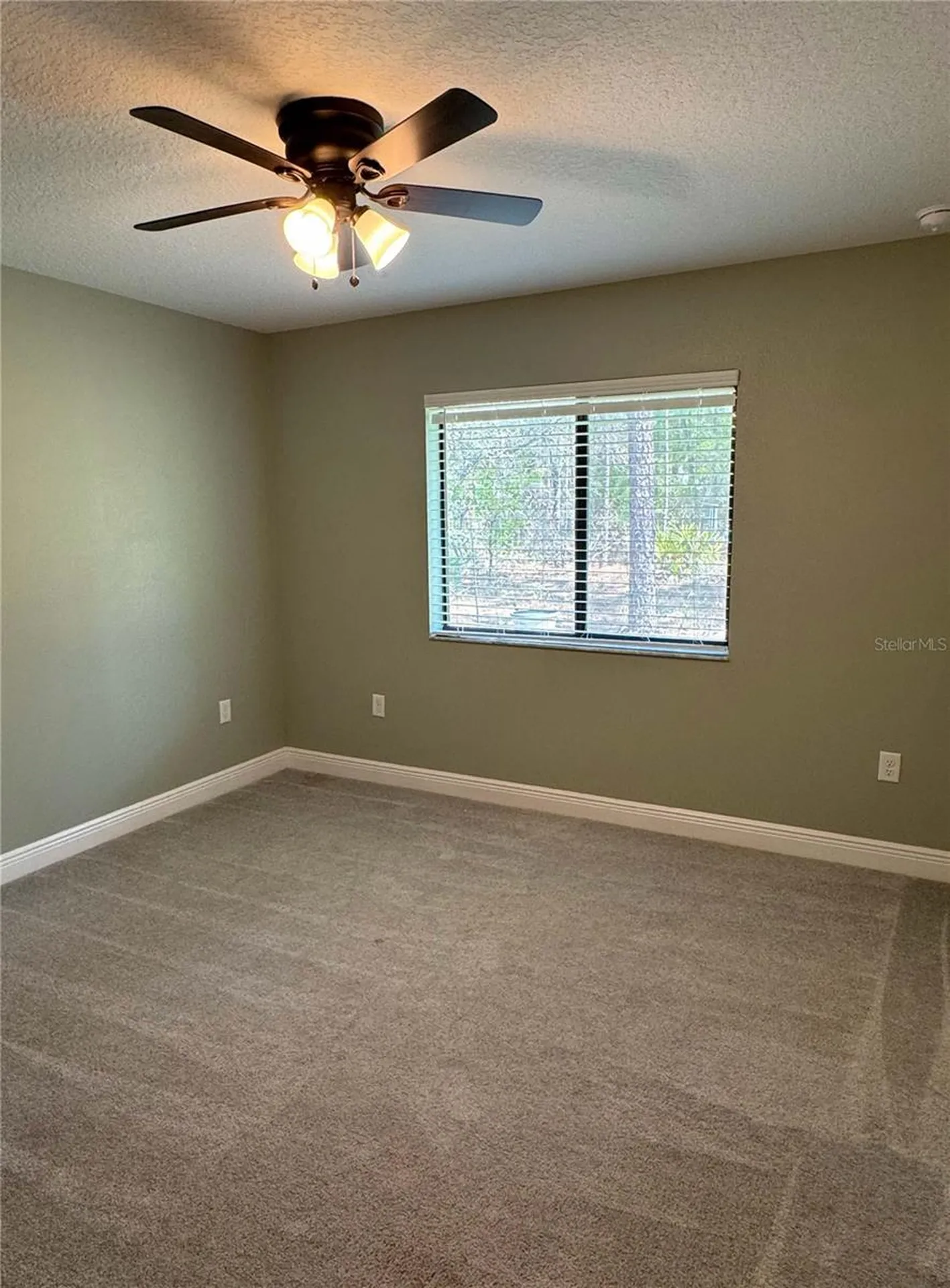 172 Linder Drive Homosassa FL 34446