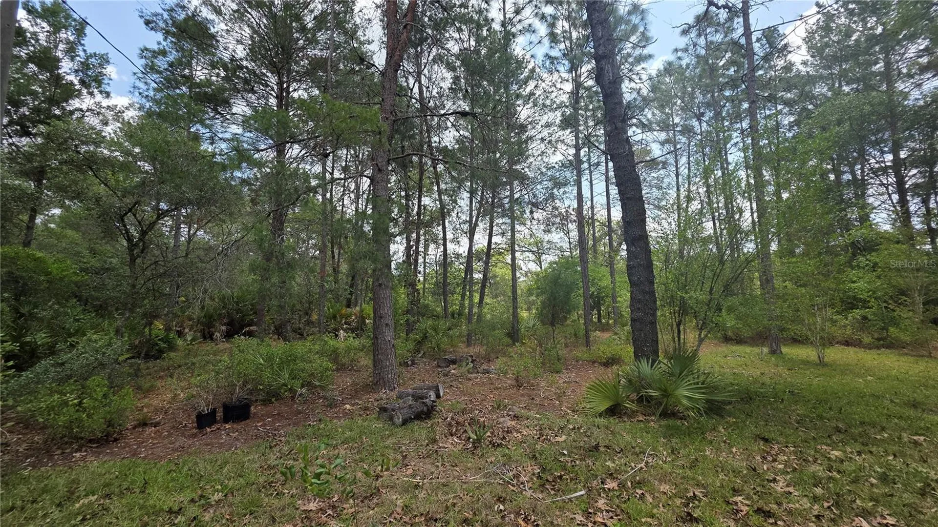 5719 W Stockholm Lane Dunnellon FL 34433