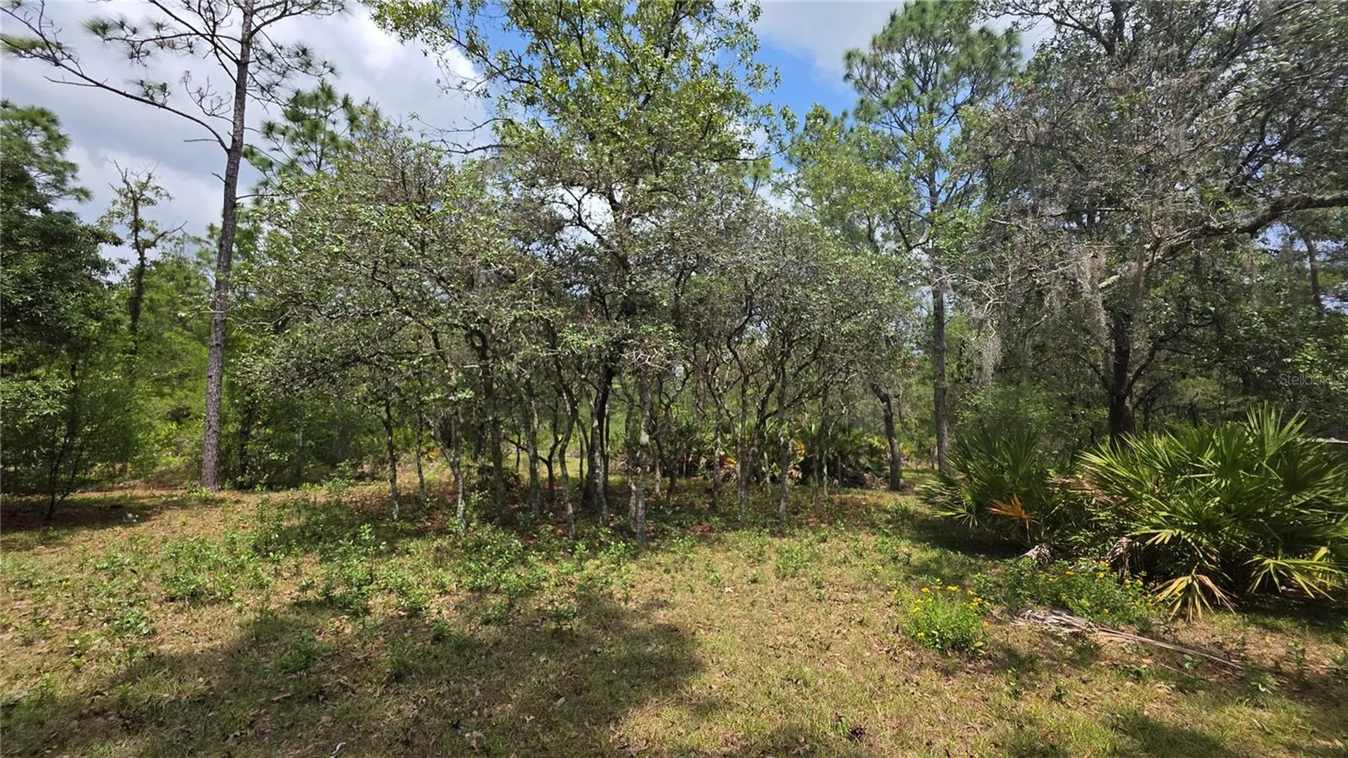 5719 W Stockholm Lane Dunnellon FL 34433