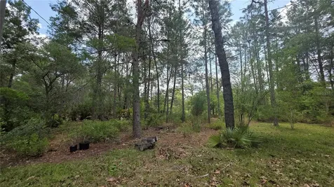 5719 W Stockholm Lane Dunnellon FL 34433