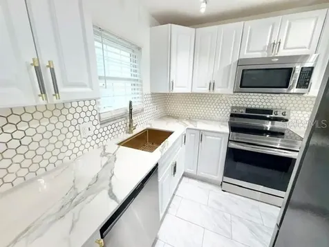 1355 Villa Lane Apopka FL 32712