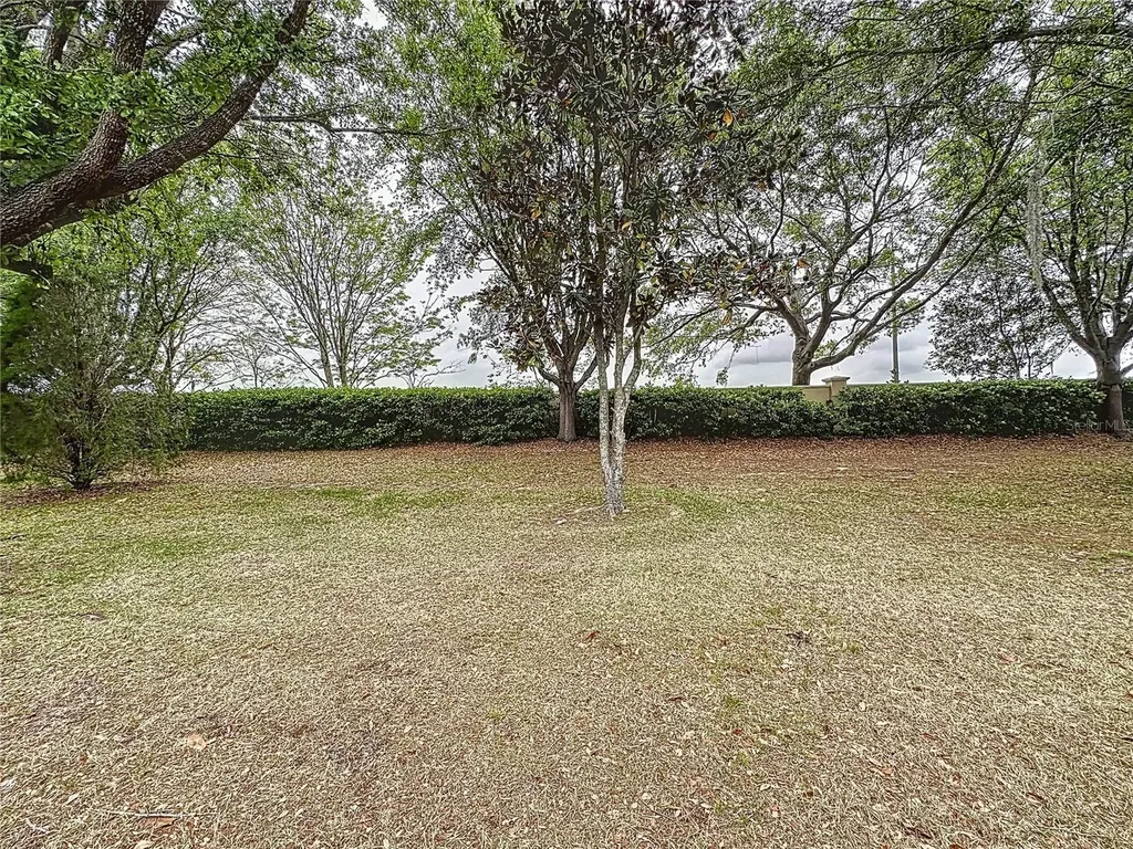 135 Crepe Myrtle Drive Groveland FL 34736