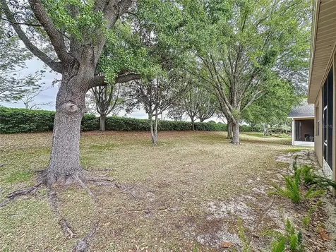 135 Crepe Myrtle Drive Groveland FL 34736