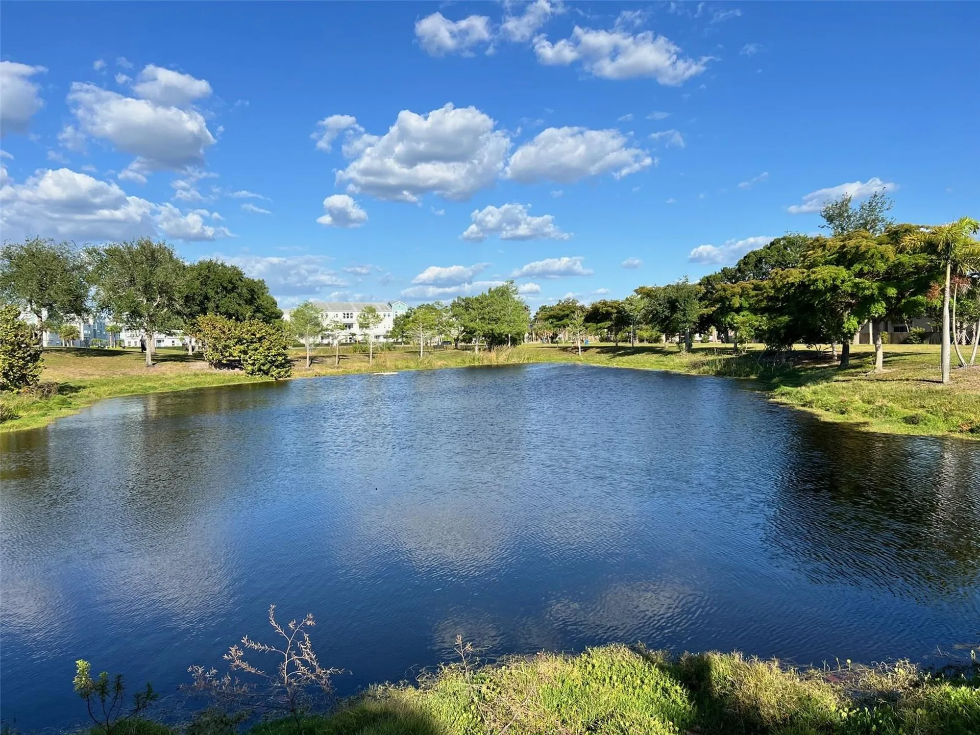 2616 Wood Street Sarasota FL 34237