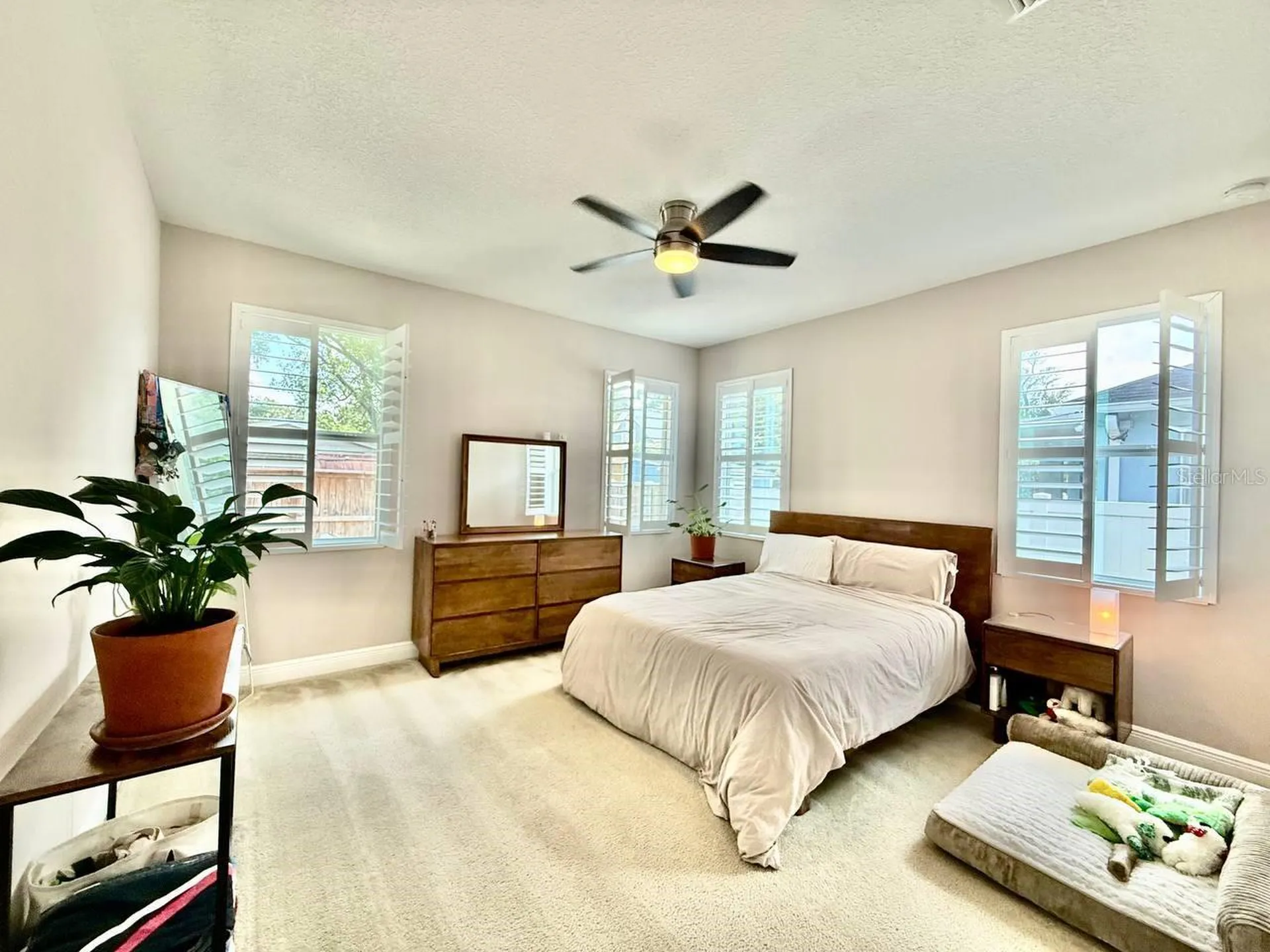 3509 N Tampa Street Tampa FL 33603