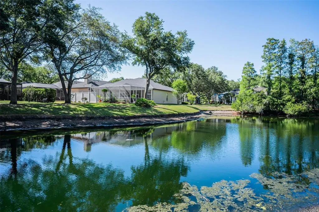 1802 Oak Ridge Road Safety Harbor FL 34695