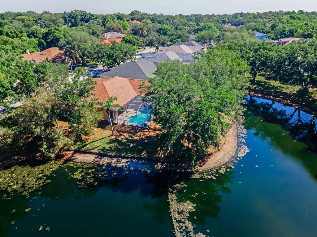 1802 Oak Ridge Road Safety Harbor FL 34695