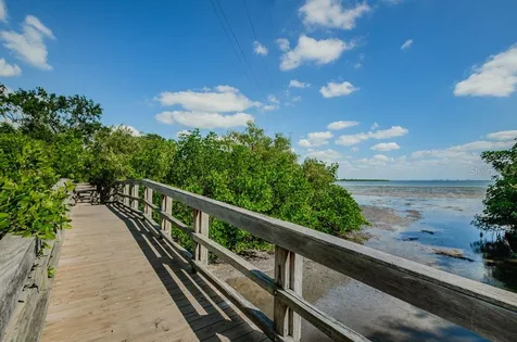 1802 Oak Ridge Road Safety Harbor FL 34695