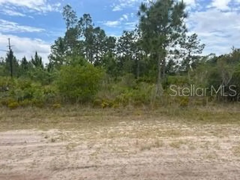 417 (BLK 172 Lot 16) Magnolia Drive Indian Lake Estates FL 33855
