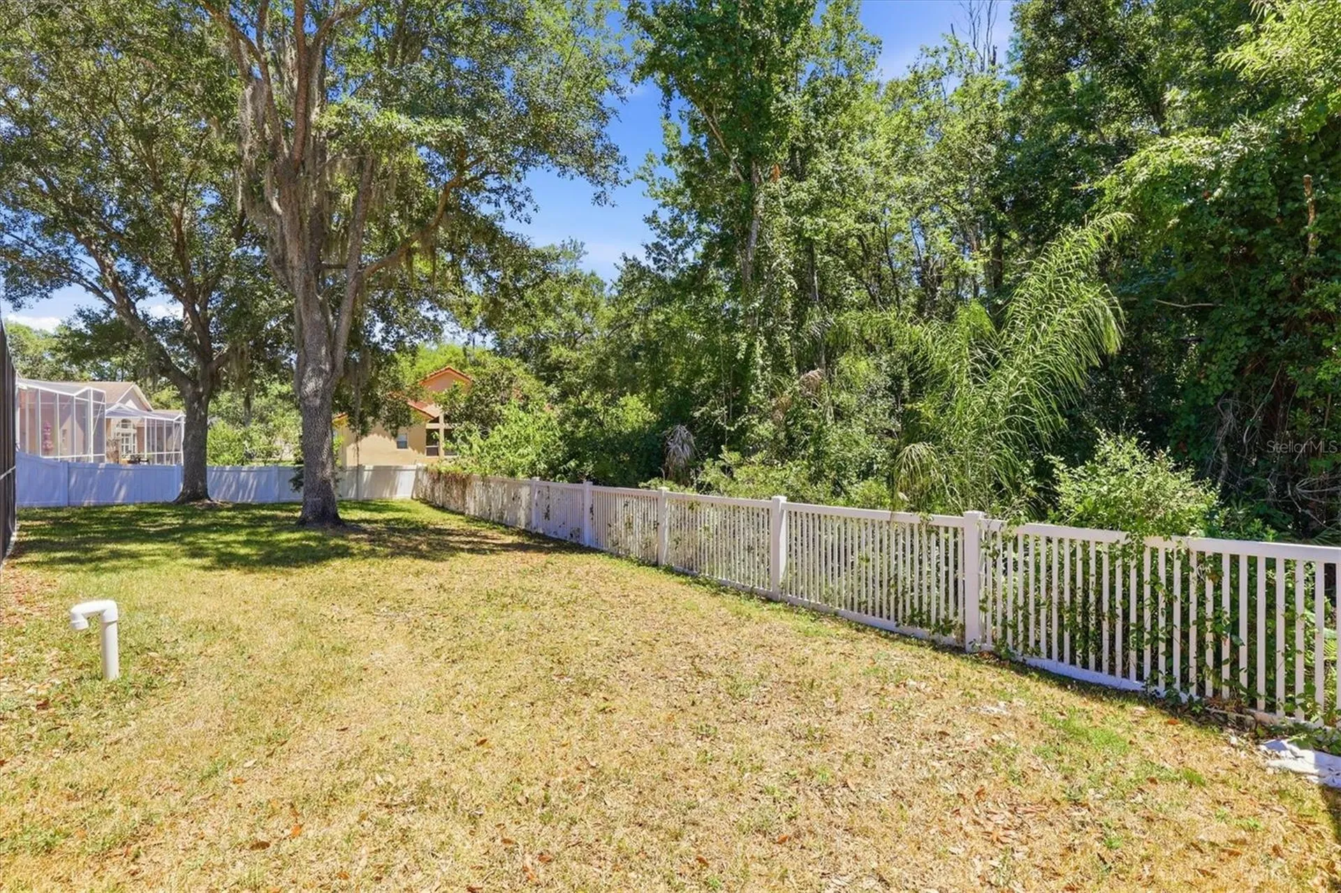 8331 Golden Prairie Drive Tampa FL 33647