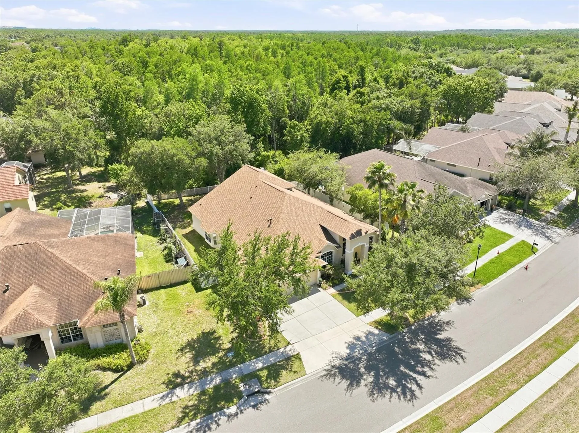 8331 Golden Prairie Drive Tampa FL 33647