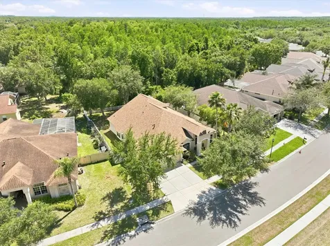 8331 Golden Prairie Drive Tampa FL 33647