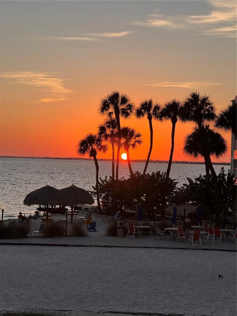 Tampa FL 33607