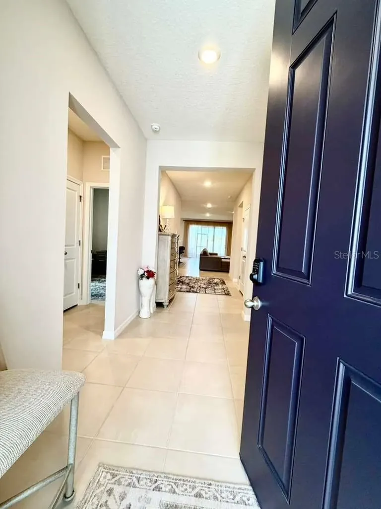 5452 Flint Hills Drive Wimauma FL 33598