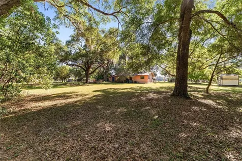 14020 NW 160th Avenue Williston FL 32696