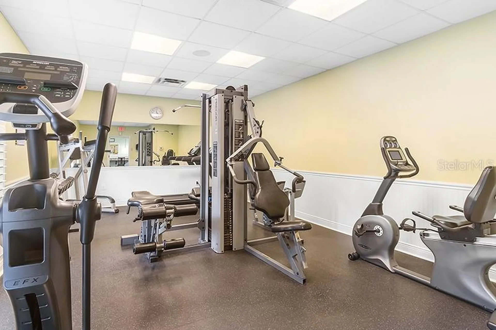 13196 Golden Lime Avenue Spring Hill FL 34609