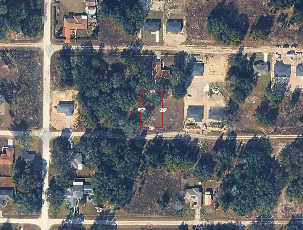 SW 113th Place Dunnellon FL 34432