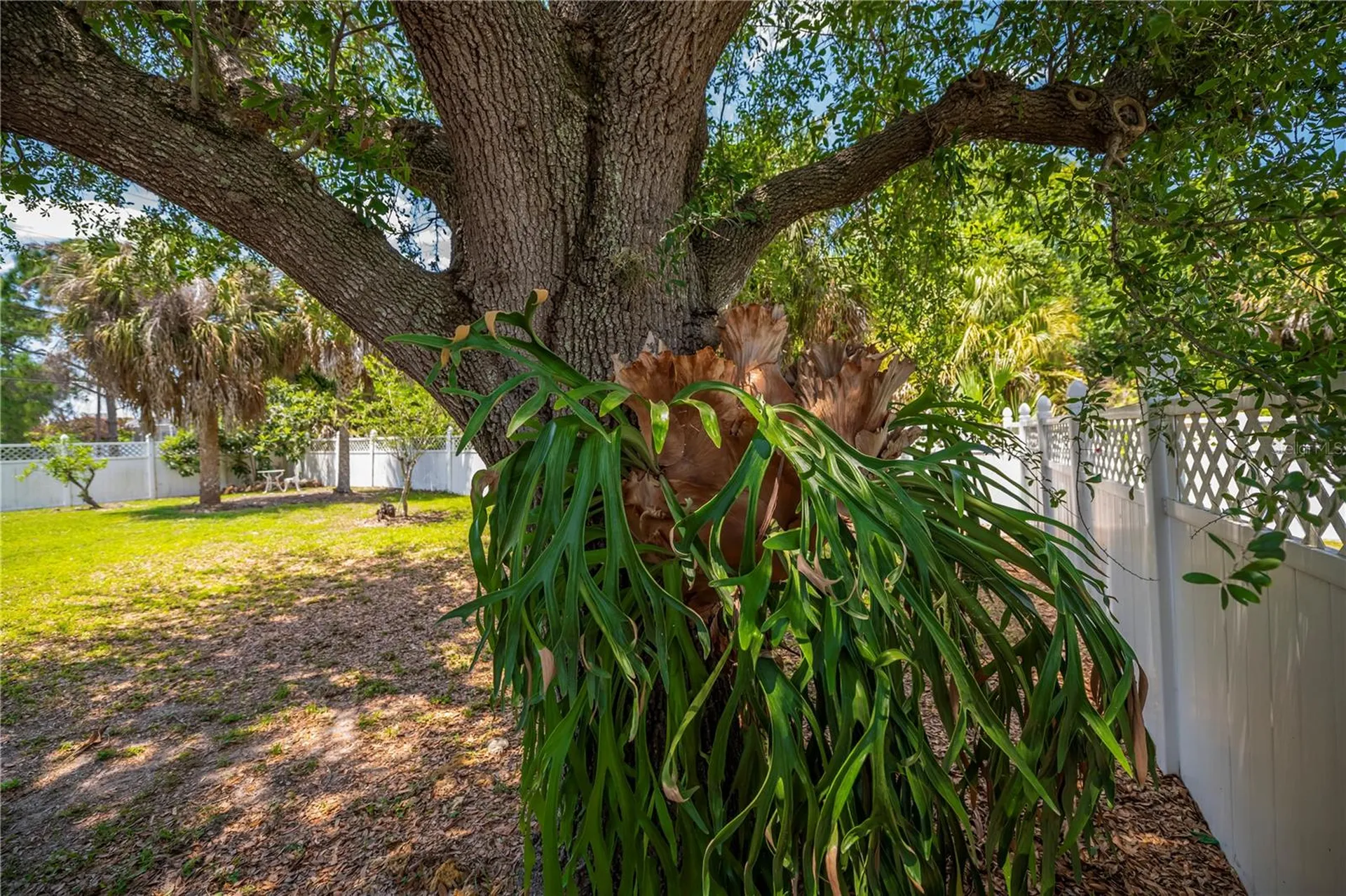 2618 8th Street W Lehigh Acres FL 33971