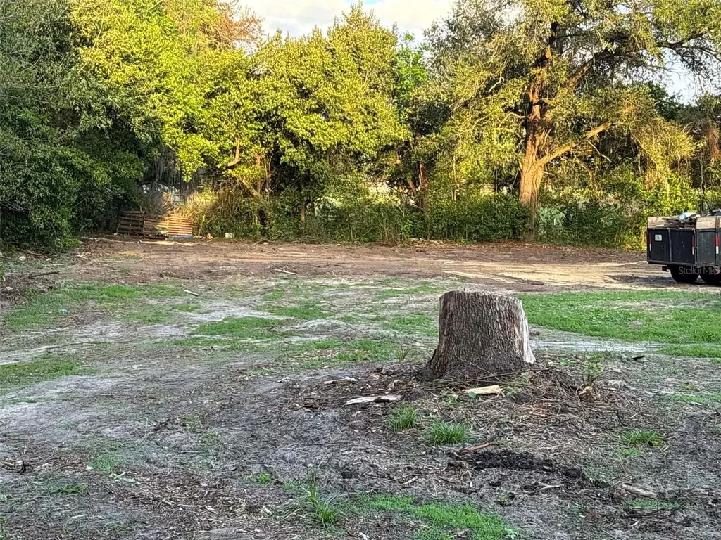 10323 S Arabian Avenue Floral City FL 34436
