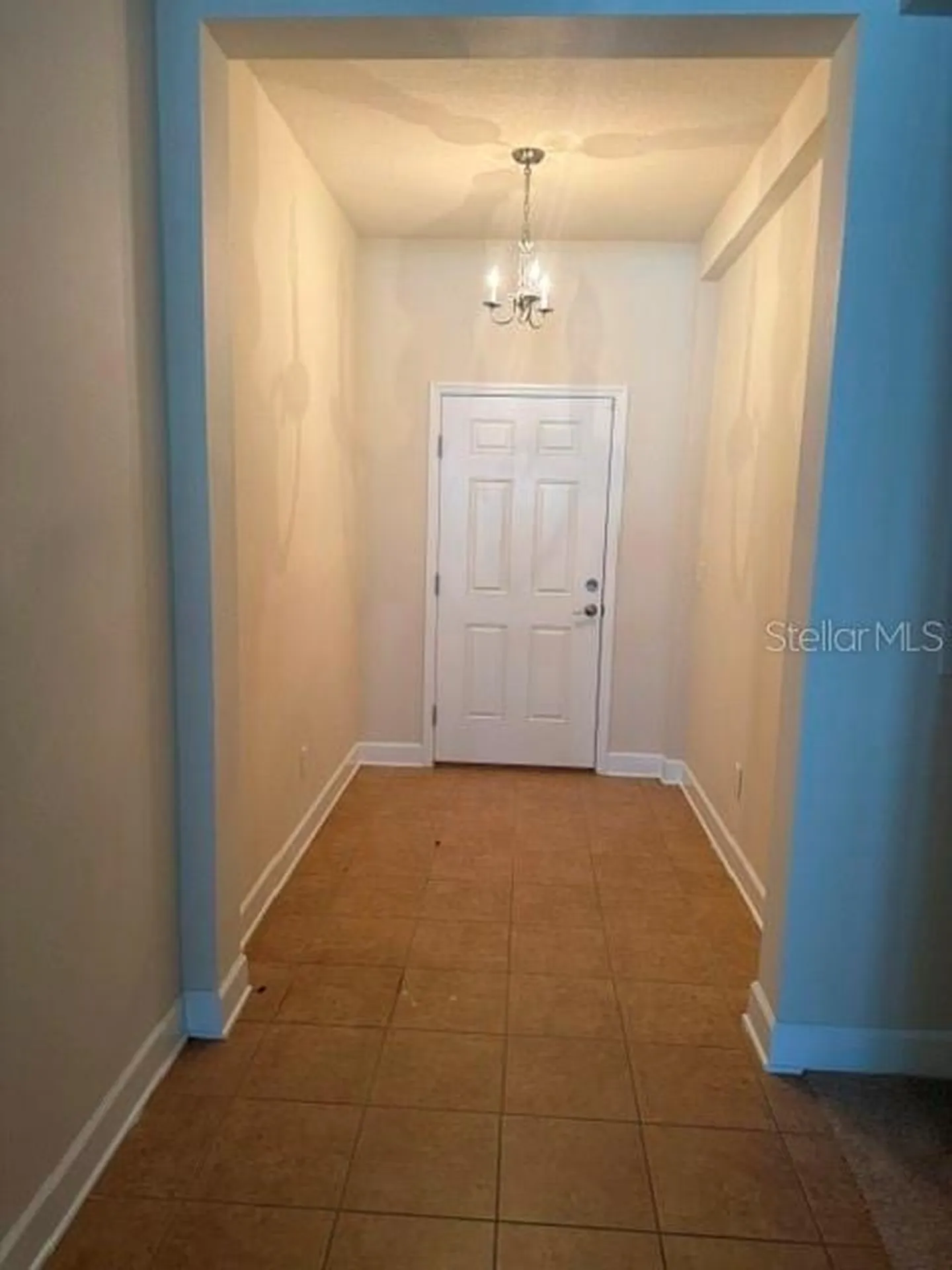 2834 Shetland Ridge Drive Valrico FL 33596