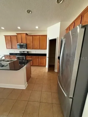 2834 Shetland Ridge Drive Valrico FL 33596