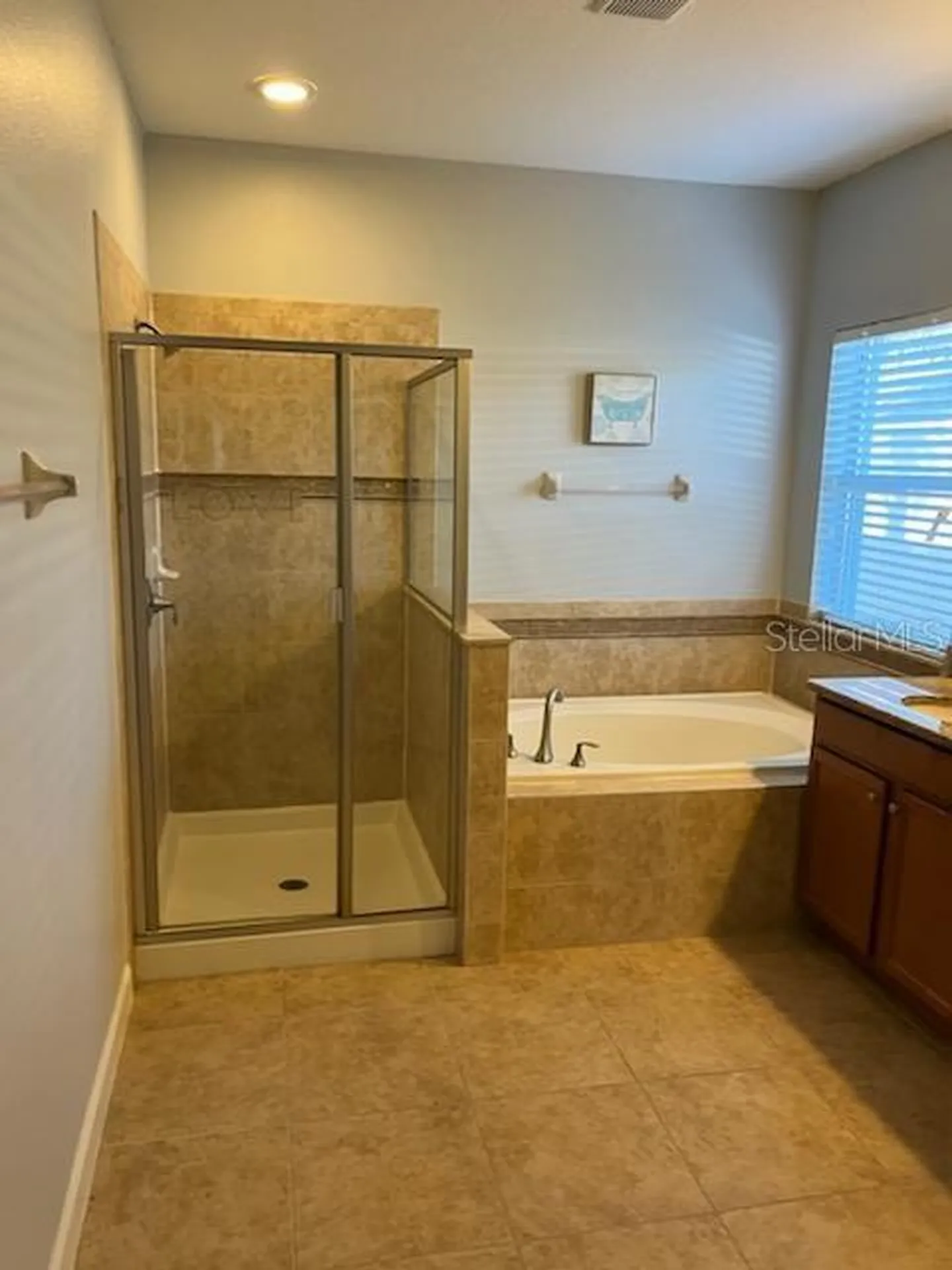 5827 Tarleton Way Mount Dora FL 32757