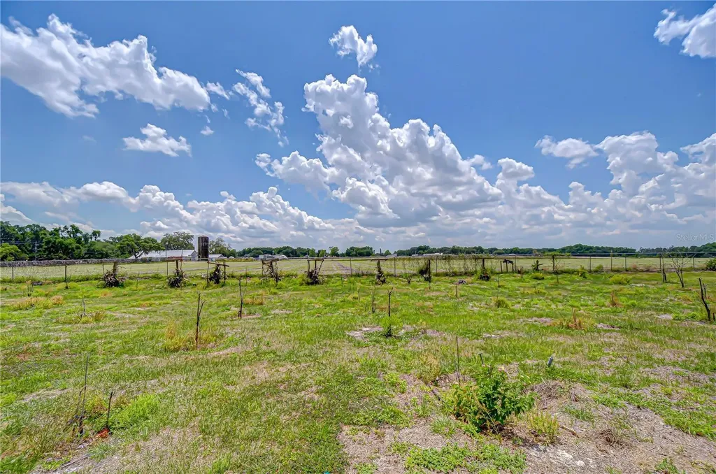 4036 Moores Lake Road Dover FL 33527