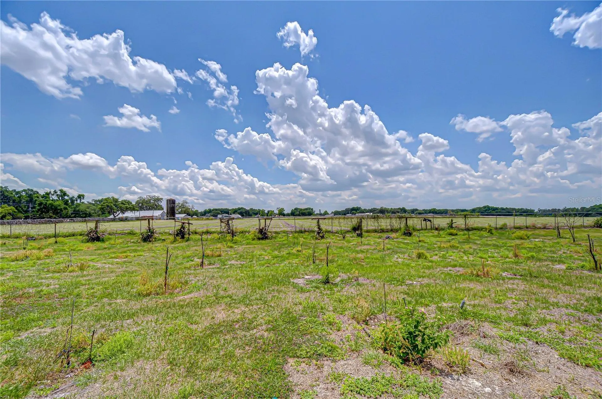 4036 Moores Lake Road Dover FL 33527