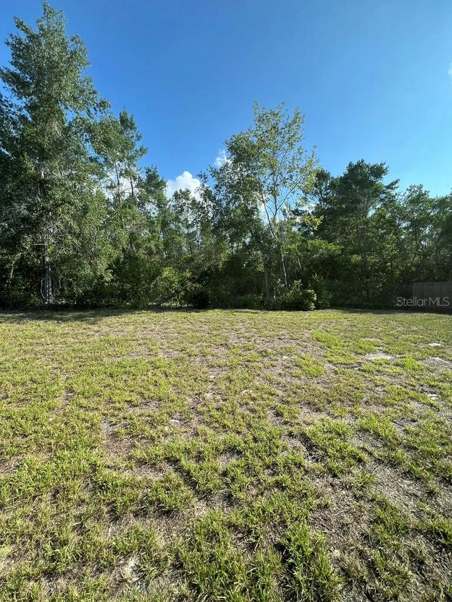 9131 Swiss Road Spring Hill FL 34606