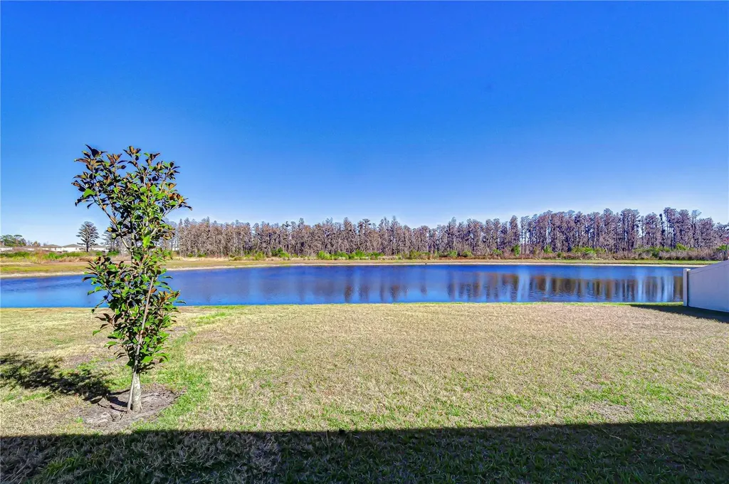 10422 Gliding Eagle Way Land O Lakes FL 34638