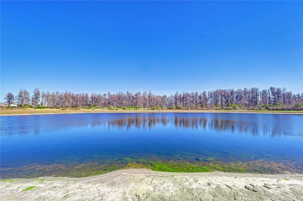 10422 Gliding Eagle Way Land O Lakes FL 34638